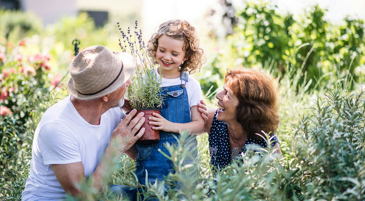 自宅の庭でガーデニングをする幼い孫と祖父母