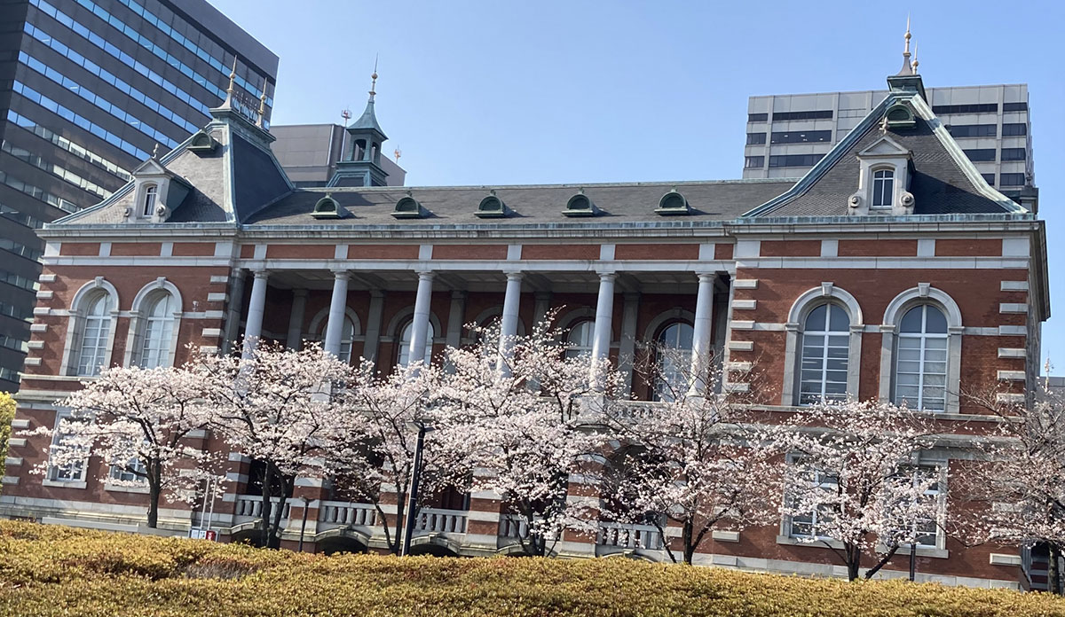 法務省と満開の桜